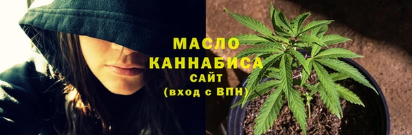 дмт Белокуриха