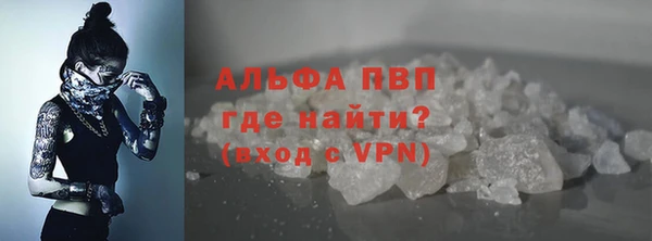 дмт Белокуриха