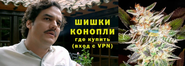 дмт Белокуриха
