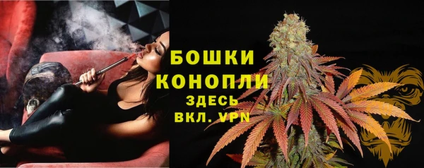 дмт Белокуриха
